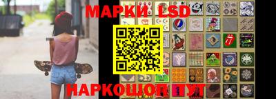 PSILOCYBIN Северобайкальск