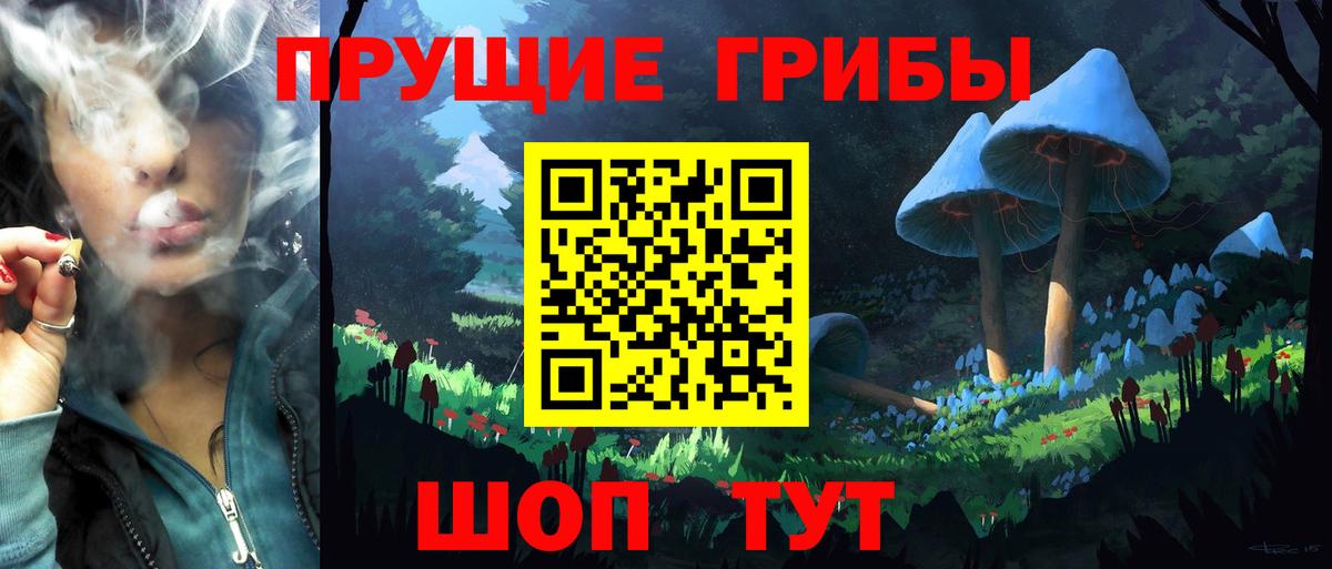 Галлюциногенные грибы Magic Shrooms Сегежа