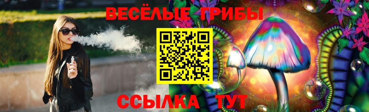 Псилоцибиновые грибы GOLDEN TEACHER  Вход с VPN  Сегежа 